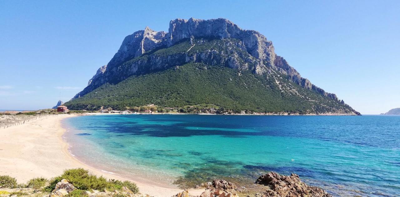 Iss Travel, Citai Panoramic Apartments - 1,5 Km From The Beach San Teodoro  Zewnętrze zdjęcie